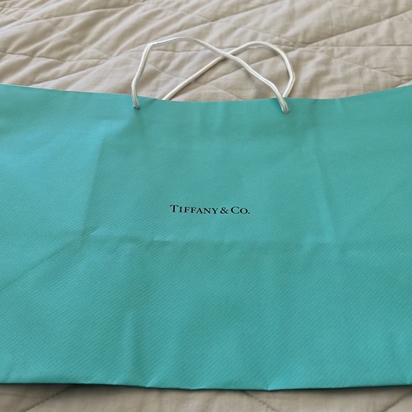 Tiffany & Company Shopping Gift Bag tote - Picture 8 of 16